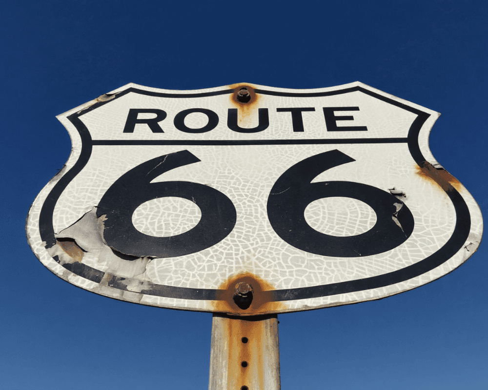 Drivers, Shop Your Road Trip Essentials